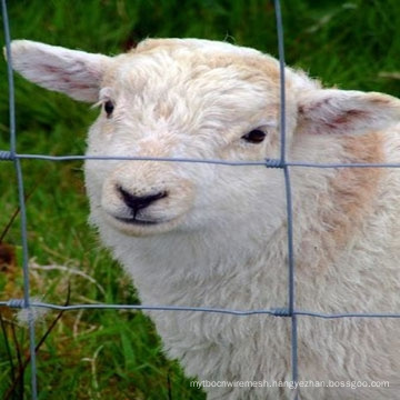 Hot Dipped Galvanized Sheep and Goat Fence